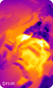 Sabit Yoğunluklu MSX